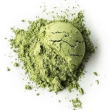 MORINGA BIO