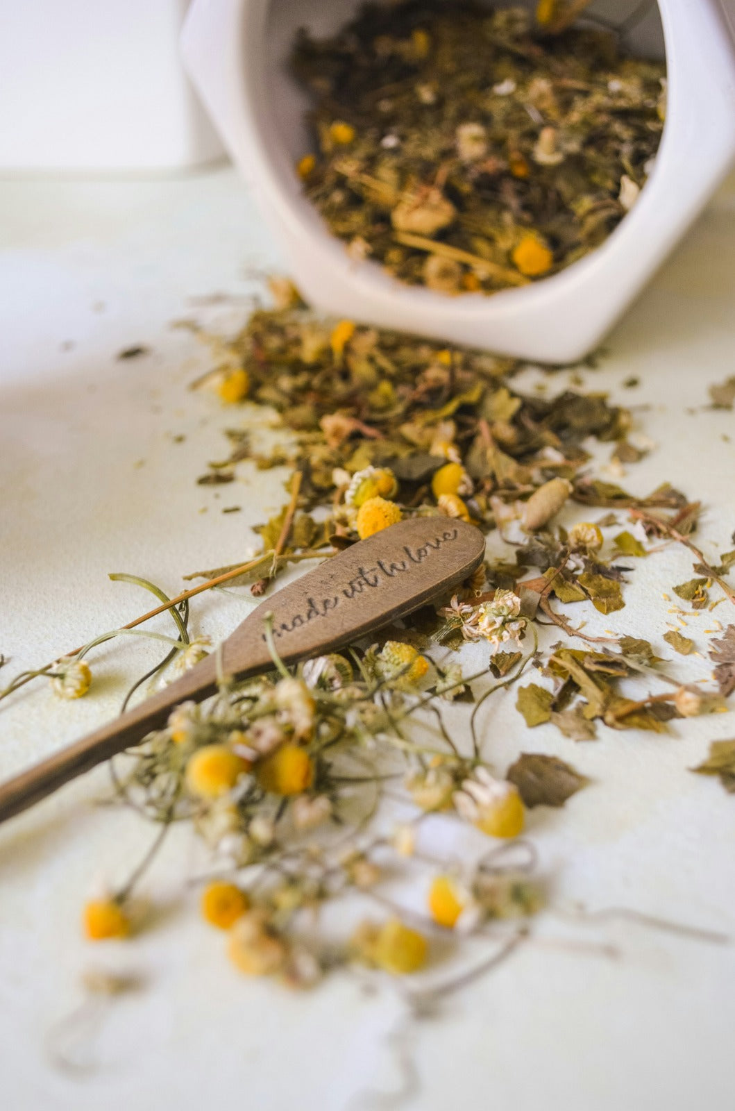 • Les épices et plantes médicinales : vos alliées santé au quotidien