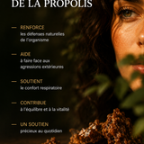 Propolis Powder Capsules – 60 Capsules