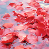 Déodorant Nigelle Tahara - Rose & Musc Blanc